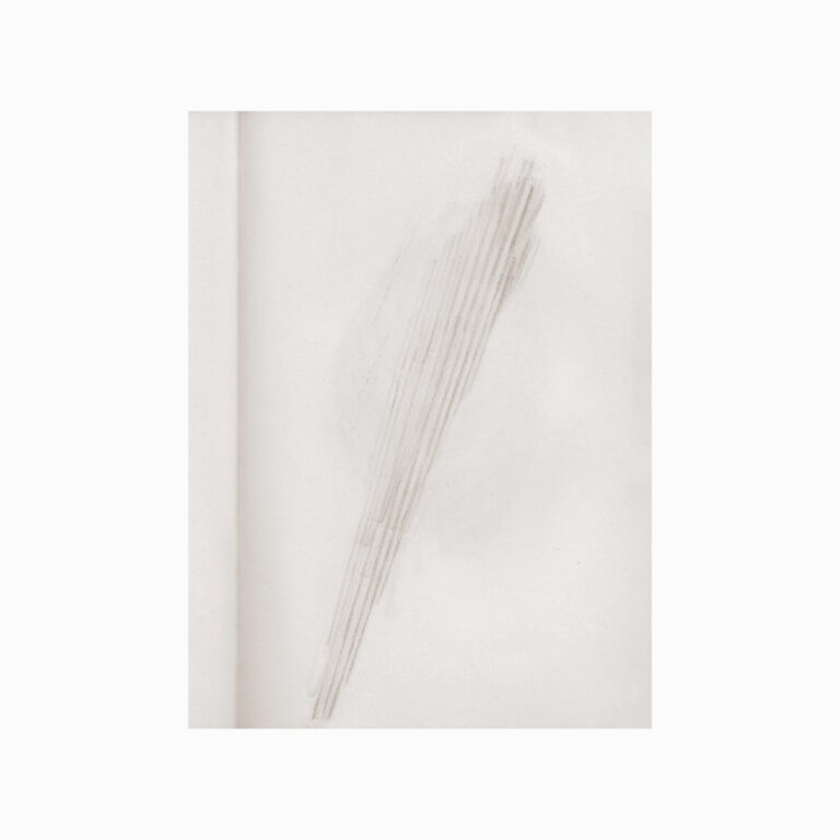 Amazonereizigers – C. Cornell Evers in gesprek met componist, kunstenaar en luisteraar Lawrence English: “De jungle is nooit stil”